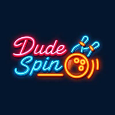 DudeSpin logo